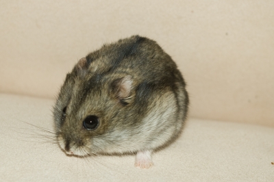 440191 original R by MandyEger pixelio.de